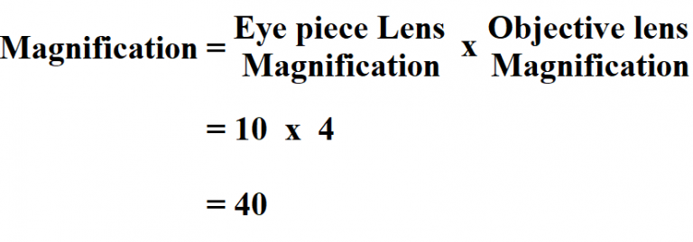 how-to-calculate-total-magnification