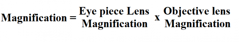 how-to-calculate-total-magnification